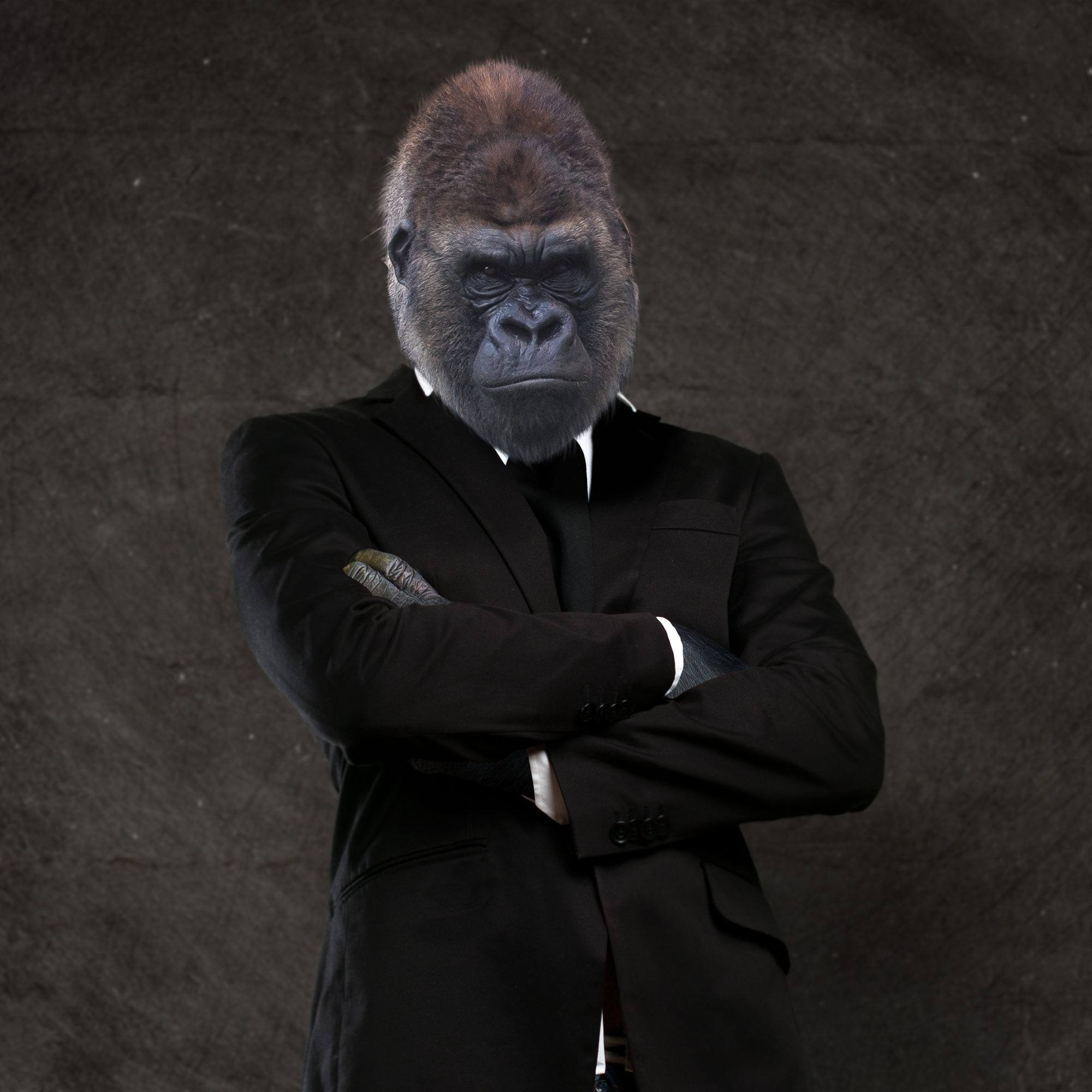 tool gorilla